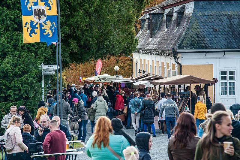 Na zámku kozel ve Šťáhlavech probíhá po celý víkend tradiční podzimní jarmark. Návštěvníky zde čeká chutné jídlo, dobré pití, originální řemeslné produkty a atrakce pro děti.