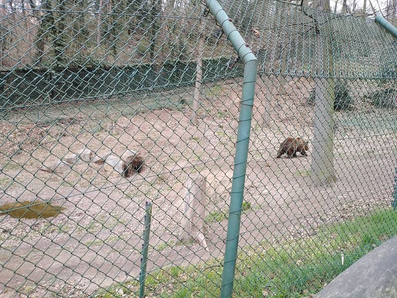 Návštěva Zoologické zahrady v Plzni.