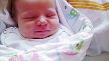 Adam Pruner se narodil 9. února v 17:47 mamince Evě Klimentové a tatínkovi Martinovi z Plzně. Po příchodu na svět v plzeňské porodnici U Mulačů vážil jejich synek 3730 gramů a měřil 50 centimetrů.