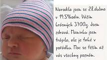 Sára Hereitová se narodila 28. dubna v 19:59 hodin v plzeňské FN na Lochotíně. Paní Brožíková se s námi podělila o krásný pozdrav – poštovní pohlednici od své pravnučky Sárinky.