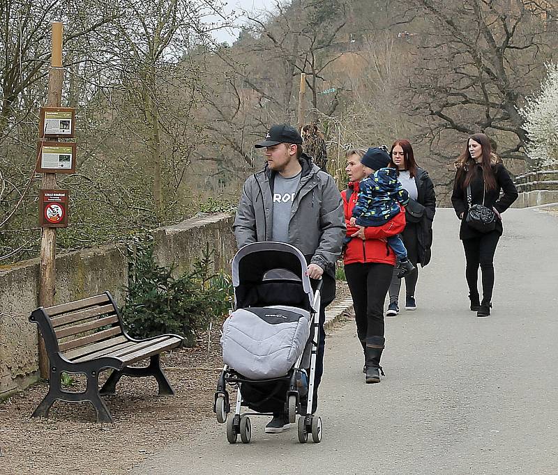 Do plzeňské zoologické zahrady dorazily jenom za sobotu více než dva tisíce návštěvníků.