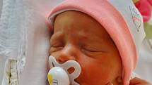 Nikol Hofrajtrová se narodila 30. října ve 13:40 mamince Lence a tatínkovi Tomášovi z Plzně. Po příchodu na svět v plzeňské FN vážila sestřička tříletého Marečka 3300 gramů a měřila 55 cm.