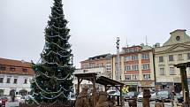 Vánoční strom v Klatovech