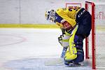 Zápas 43. kola hokejové extraligy HC Škoda Plzeň  - PSG Berani Zlín. Zlínský gólman Libor Kašík.