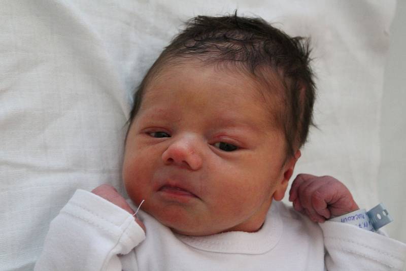 Jaroslav Bernklau z Dobřan je prvorozeným miminkem maminky Denisy a tatínka Jaroslava. Chlapeček s porodní váhou 3850 g přišel na svět v plzeňské Mulačově nemocnici 17. července ve 20:55 hodin. Pohlaví miminka věděli rodiče dopředu.