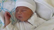 Antonín Novotný se narodil v plzeňské porodnici U Mulačů 6. listopadu ve 12:39 mamince Markétě a tatínkovi Jiřímu. Po příchodu na svět vážil jejich prvorozený chlapeček 3630 gramů.