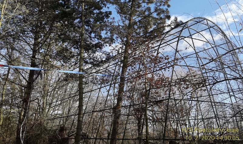 V plzeňské zoo ohrožoval strom voliéru