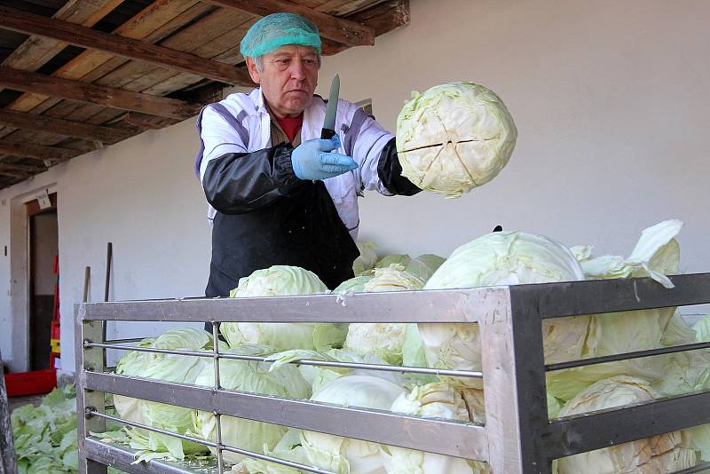 Festival zelí v Křimicích