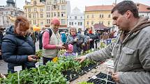 Farmářské trhy v Plzni zahájili již šestou sezónu.