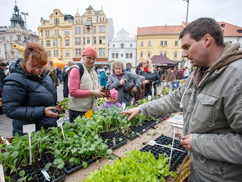 Farmářské trhy v Plzni zahájili již šestou sezónu.