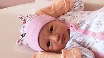 Julie Sládková z Blovic se narodila 19. dubna 2021 ve 12:19 hodin mamince Veronice a tatínkovi Josefovi. Po příchodu na svět v plzeňské porodnici FN Lochotín jejich dcera vážila 2900 gramů a měřila 47 centimetrů.