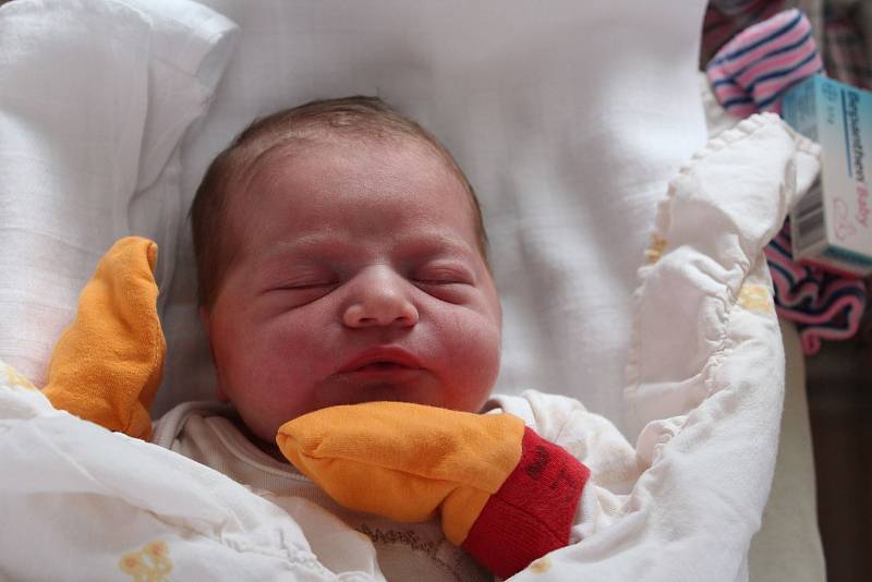 Nella Horváthová se narodila 12. července ve 2:15 hodin mamince Jesice a tatínkovi Erikovi z Plzně. Po příchodu na svět ve FN Lochotín holčička vážila 2950 g a měřila 46 cm.