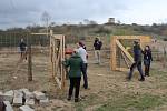 V aklimatizační ohradě na Šlovickém vrchu pobývaly exmoorští ponyové téměř měsíc. V sobotu byly slavnostně vypuštěni do celé pastviny.