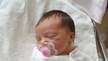 Andrea (3,51 kg, 49 cm) se narodila 3. října v 16:06 ve FN v Plzni. Na světě ji přivítali rodiče Věra Krištofová a Luboš Roller z Plzně. Doma na sestřičku čeká šestiletá Deniska.