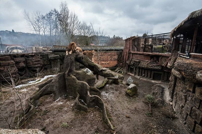 Zoologická zahrada Plasy.