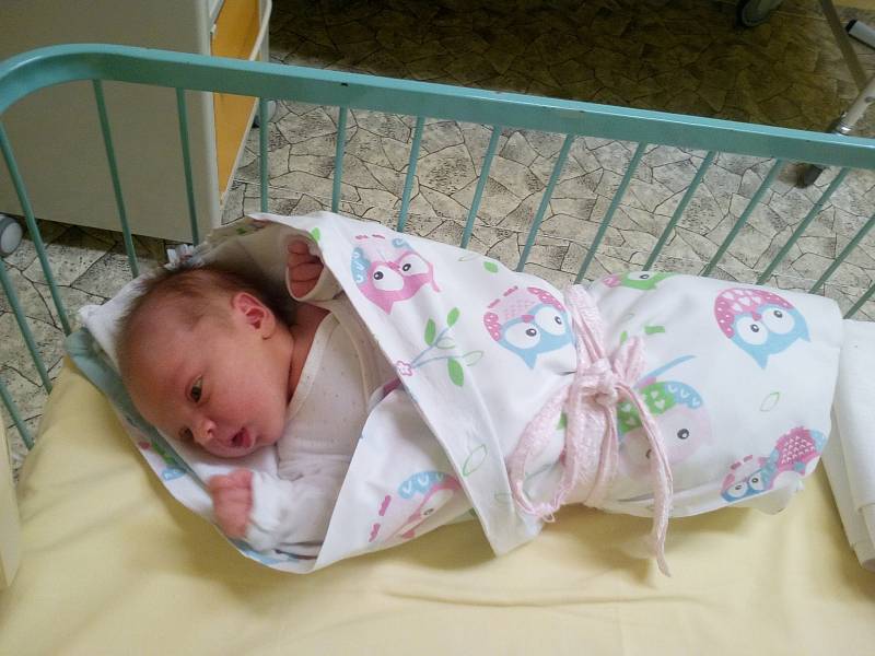 Emma Jirsová se narodila 14. února v 8:16 mamince Ivetě Primasové a tatínkovi Lukášovi. Po příchodu na svět plzeňské Mulačově nemocnici vážila jejich dcerka 3500 gramů a měřila 49 centimetrů.