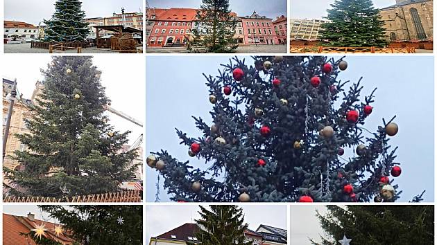 Vánoční stromy na západě Čech. Který je nejhezčí?