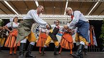 Silou lví, vzletem sokolím! – přehlídka Sokolské župy Plzeňské na Folklórním festivalu