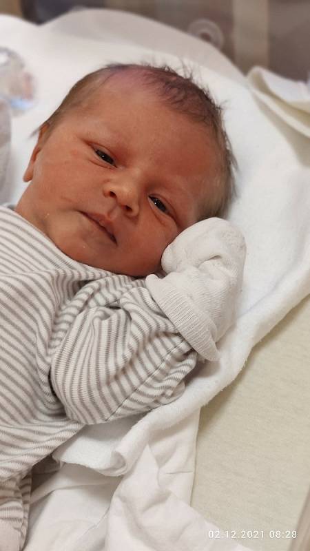 Dominik Štěpánek se narodil 30. listopadu 2021 v 15:42 hodin rodičům Evě a Radkovi z Plzně-severu. Po příchodu na svět v porodnici FN Lochotín vážil 3350 gramů a měřil 51 centimetrů.