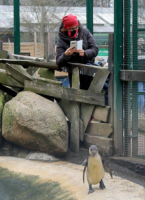 Do plzeňské zoologické zahrady dorazily jenom za sobotu více než dva tisíce návštěvníků.