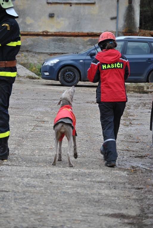 Psí záchranáři trénovali hledání lidí 