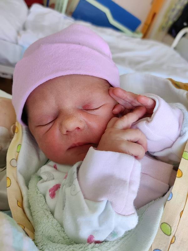 Stella Poláková z Plzně se narodila 20. dubna ve 3:21 hodin rodičům Barboře a Romanovi. Po příchodu na svět v porodnici Mulačovy nemocnice jejich holčička vážila 2490 gramů.