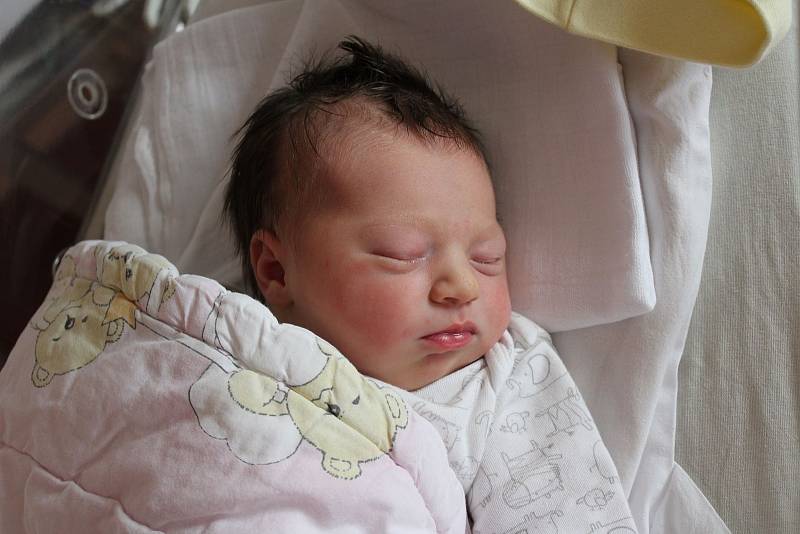 Alisa Prokhorenko z Plzně přišla na svět v porodnici FN Lochotín 11. července v 16:41 hodin s mírami 3900 g a 51 cm. Na prvorozenou holčičku se těšila maminka Julia a tatínek Vitalii.