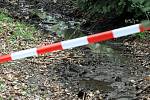 Místo, kde se v Borském parku v Plzni popálily malé děti