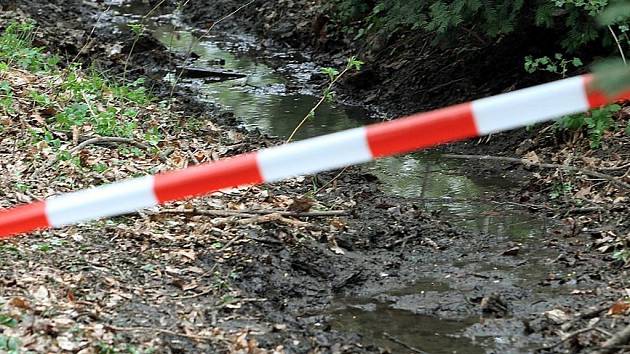 Místo, kde se v Borském parku v Plzni popálily malé děti