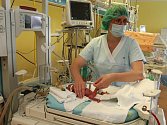 Některé děti, o které se starají sestřičky na neonatologickém oddělení ve Fakultní nemocnici v Plzni, jsou opravdu maličké. Narodily se předčasně