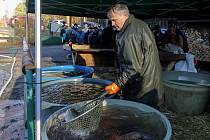 Prodej ryb na vánoční stůl zahájili v pondělí městští rybáři v sádkách pod hrází rybníku Košinář v Plzni. Otevřeno bude až do soboty.