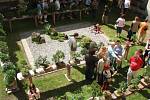 Bonsai Merklín 2009 