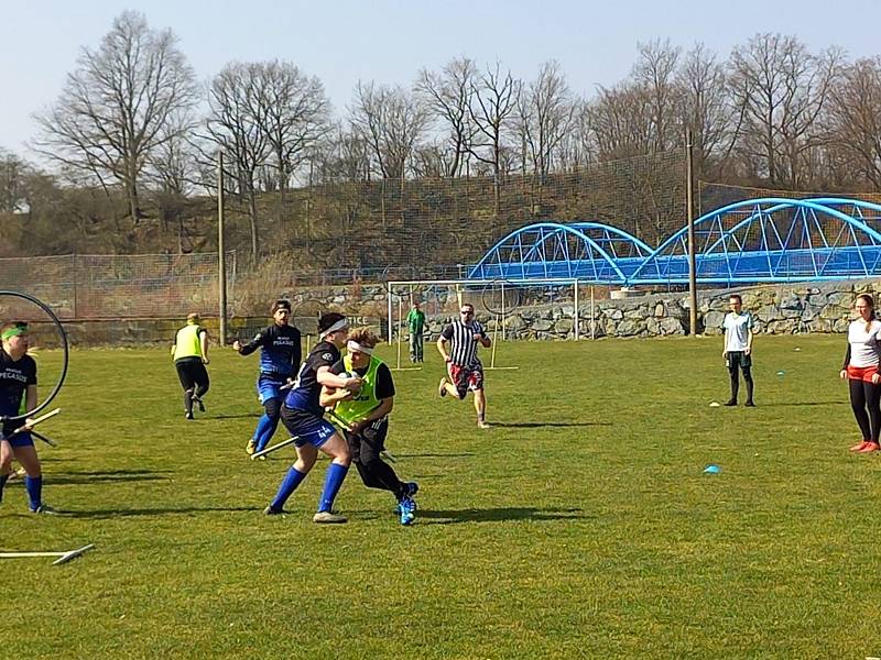 Litické fotbalové hřiště patřilo v sobotu 26. března nadšencům sportu, který se hraje na košťatech.