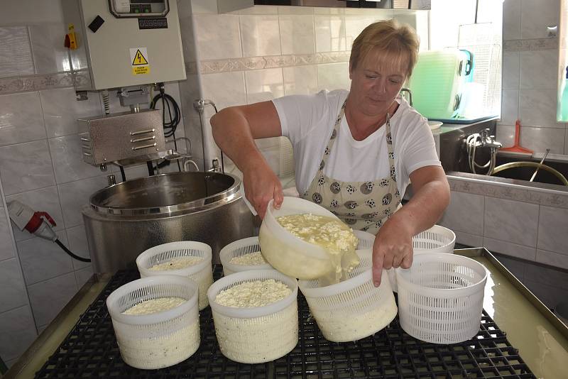 Jindřiška Jandečková při výrobě sýra. Na dalších snímcích jsou její hotové výrobky a sýrové dárky, které zhotovuje pro různé příležitosti.