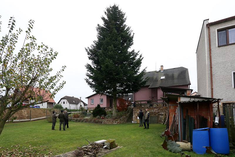 vánoční strom pro Plzeň soukromá zahrada Kařez