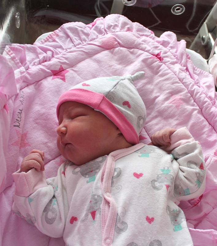 Magdaléna Glusová se narodila 1. ledna v 10:28 rodičům Michaele a Tomášovi z Líní. Po příchodu na svět v porodnici FN na Lochotíně vážila sestřička Stely (2,5) 3830 gramů a měřila 51 centimetrů.