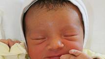 Maminka Lenka Stuiberová a tatínek Pavel Tichota z Přeštic se radují z narození Karolínky (3,47 kg, 51 cm). Jejich prvorozená holčička přišla na svět 13. srpna ve 13:27 ve Fakultní nemocnici v Plzni.
