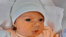 Viktorie Sitterová se narodila 8. ledna ve 2:04 mamince Janě a tatínkovi Janovi z Plzně. Po příchodu na svět v plzeňské FN vážila sestřička dvouleté Elišky 3200 gramů a měřila 48 centimetrů.