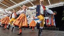 Silou lví, vzletem sokolím! – přehlídka Sokolské župy Plzeňské na Folklórním festivalu