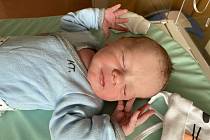 David Rajs z Domažlic se narodil v klatovské porodnici 30. dubna v 9:52 hodin (3230 g, 48 cm). Rodiče Andrea a David věděli dopředu, že se jim narodí chlapeček.