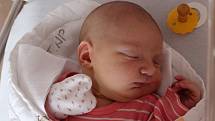 Alžběta Landsmannová se narodila 9. července 2022 ve 20:30 hodin rodičům Elišce a Jaromírovi z Plzně. Po příchodu na svět ve FN Lochotín jejich prvorozená dcera vážila 4150 gramů a měřila 52 centimetrů.