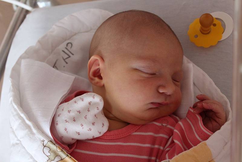 Alžběta Landsmannová se narodila 9. července 2022 ve 20:30 hodin rodičům Elišce a Jaromírovi z Plzně. Po příchodu na svět ve FN Lochotín jejich prvorozená dcera vážila 4150 gramů a měřila 52 centimetrů.