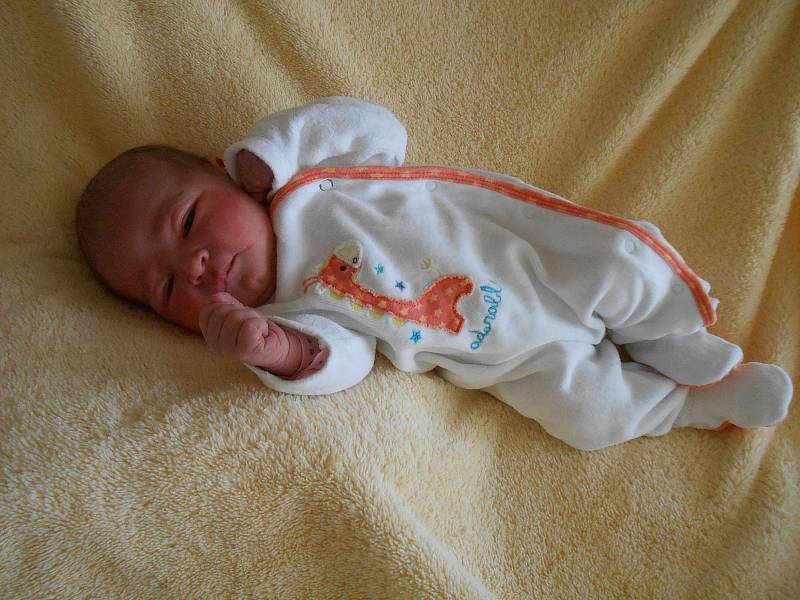Sandra Z. přišla na svět v Domažlické nemocnici 27. února 2022. Při narození vážila 3600 g.