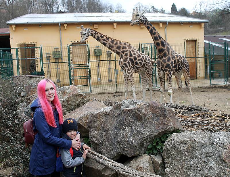 Do plzeňské zoologické zahrady dorazily jenom za sobotu více než dva tisíce návštěvníků.