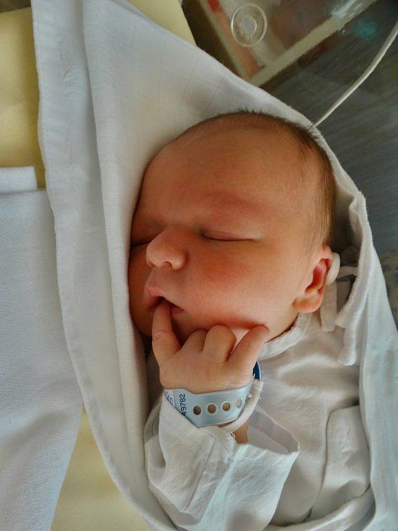Eddie Pichler se narodil 9. února v 10:50 mamince Kateřině a tatínkovi Janovi. Po příchodu na svět v plzeňské porodnici U Mulačů vážil jejich prvorozený synek 4500 gramů a měřil 53 centimetrů.