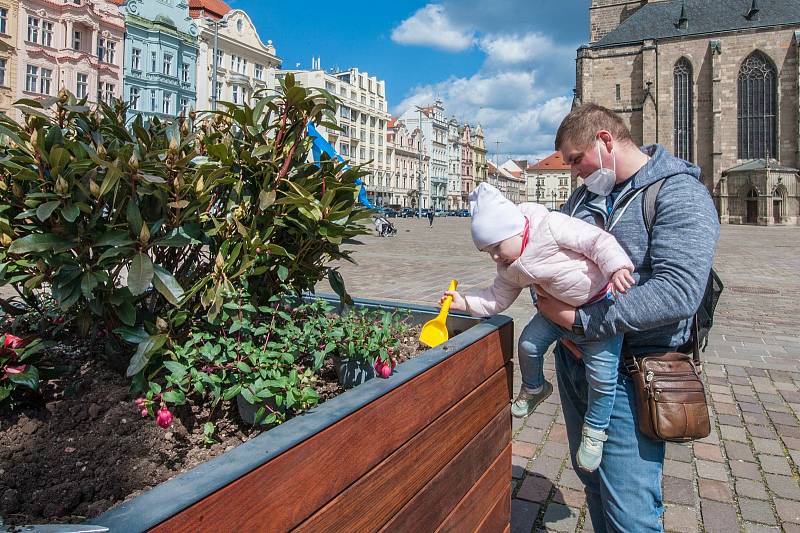 Centrum Plzně se zazelenalo. Vyrostly tu rododendrony.