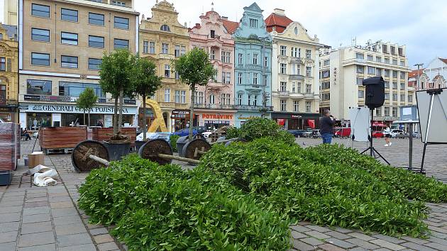 Vzrostlé habry ve velkých květináčích na zkoušku umístil na náměstí Republiky Nadační fond Plzeň sobě. Zároveň uspořádal anketu o navrácení stromů na plochu náměstí, která je dosud bez zeleně.