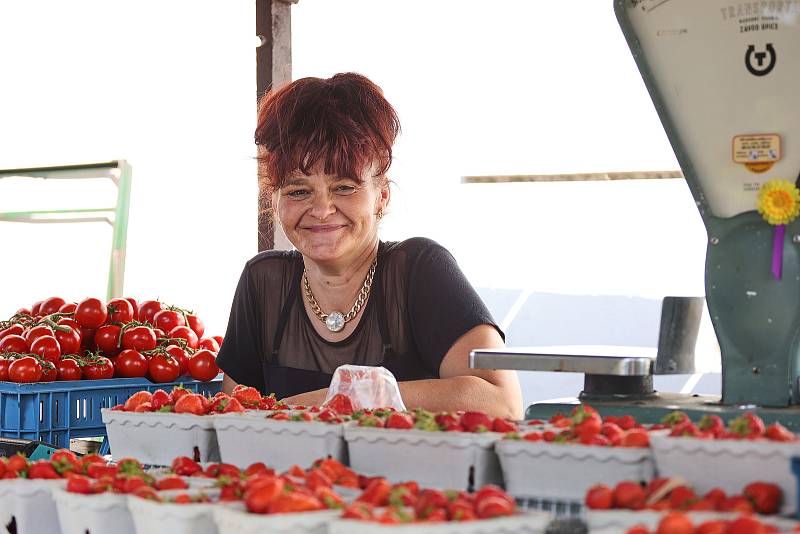 Letní počasí v centru Plzně lákalo do dneška k osvěžení u kašen a pítek, ale také na předzahrádkách restaurací či k odpočinku v sadovém okruhu. Tropické počasí předchozích dnů má dneškem na Plzeňsku skončit a ochladit se, byť jen na pár dnů.