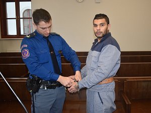 Leon Miko, který dle obžaloby oloupil dva nováčky ve věznici, u plzeňského městského soudu