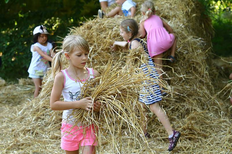 V zámeckém parku v Křimicích si mohli děti i dospělí vyzkoušet výrobu slaměných tvarů.